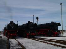 41 096,41 1231-4 und 44 1486-8 beim Bw Fest in Sta�furt am 23.03.13