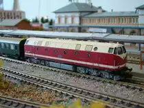 119 191-5 der DR, von BRAWA, Epoche IV.