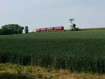 VT98 Triebwagenzug der PassauerEisenbahnFreunde (kurz PEF geannt), ist als SR17591 auf der Hausruckbahn, N�he Oberbrunn, unterwegs; 120607