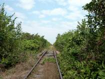 Trotz der miserablen Gleise und der starken Schienenst��e fahren die Bamboo Trains �brigens bis zu 50 km/h! Battambang, 08.01.2013.
