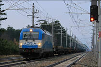 1216.920 fuhr am 03.04 13 mit einem Schienentransportzug von Neunkirchen/N� kommend durch die Hst.St.Egyden Richtung Wr.Neustadt.
