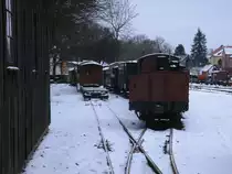 Zwei gut,best�ckte Abstellgleise in Putbus am 18.Januar 2013.