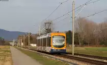 Tw 4141 als 5 Rundfahrt Mannheim-Heidelberg-Weinheim bei Viernheim 2.4.13