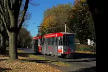 Die Strecke der Linie 110 kann man als stilllegungsgef�hrdet ansehen, sie soll komplett durch Busse ersetzt werden. Am 27.10.2012 hat der Tw 294 den gr��ten Teil des Anstiegs hinter sich und wird in wenigen Haltestellen auf die Gleise der 104 treffen