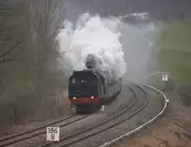 Sonderzug von T�bingen �ber Sigmaringen, Aulendorf und Ravensburg nach Friedrichshafen, hier kurz vor Meckenbeuren, 06.04.2013