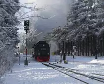 Nachdem 99 7245 am 26.01.2013 ihre Kohle- und Wasservorr�te erg�nzt hat, ist sie jetzt im Bahnhof Drei Annen Hohne wieder auf Rangierfahrt, um ihren Sonderzug  Quedlinburger Brockenexpress  f�r die Brockenfahrt zu �bernehmen. An der Weiche steht bereits die Zugf�hrerin des genannten Zuges bereit, um sie gleich nach der Durchfahrt der Lok, wieder umzustellen, damit Planzug P8903, welcher kurz vor dem Sonderzug, um 11.55 Uhr, unter Bespannung von 99 7237, zum genannten Berg startet, diese passieren kann.
