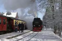 Gerade hat 99 7245 am 26.01.2013 im Bahnhof Drei Annen Hohne, nach erfolgtem Bekohlen und Wasserfassen, wieder an unseren Sonderzug  Quedlinburger Brockenexpress  angekuppelt und heizt jetzt f�r die bevorstehende Brockenfahrt kr�ftig ein! Nur kurz nachdem der nebenstehende Planzug P8941 mit Zuglok 99 7237 zum Brocken gestartet ist, wird sie ihm (und mit uns) hinterherdampfen!