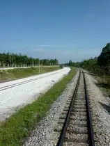 Die neuen und alten Bahngleise der malaysischen Hauptstrecke am 14.01.2013 zwischen Padang Besar und Alor Setar. Die E-Masten stehen hier bereits teilweise, der Zug benutzt aber noch die alte Strecke. Aus dem R�ckfenster des International Express Bangkok - Bukit Mertajam fotografiert.