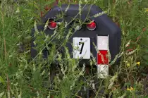 Meines Gleises hat man mich beraubt aber leuchten tue ich dennoch weiter. Besonders in der Nacht k�nnen sich die tierischen Bewohner im Umfeld an mir orientieren.

Und wer wei�, wenn mal ein Hase oder Eichh�rnchen schnell an mir vorbei huschen m�chte, dann schalte ich sogar auf wei�.........

Gleissperrsignal am zur�ck gebauten Anschlussgleis des Kohlenlagers Reden.

22.07.2012