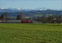 Echter Thurgau, einges�umt von Most�pfel- und Mostbirnb�umen und den Glarner Alpen zieht eine Re 4/4 VI (460 088-8) ihren Interregio nach Weinfelden. Rechts im Hintergrund die massive Wand ist der Gl�rnisch mit vielen Gipfeln knapp �ber 2900 Metern, der h�chste namenlos. April 2013. 