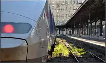 Bahn/Stadt/Bahnhof - 

Gare de l'Est in Paris. 

23.07.2012 (J)