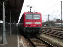 Am 19.04.2013 fuhr 143 256 auf der RB 29 in Stendal ein und dann wieder zur�ck.