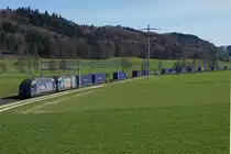 BLS:   B L A U E R    BLS Cargo G�terzug mit Re 465.013 bei Bettenhausen am 14. April 2013.  Foto: Walter Ruetsch 