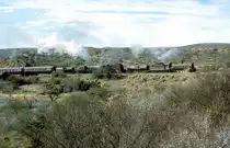 19B - 1412 + GMAM - 4122  Laughing Waters Dam    29.08.01