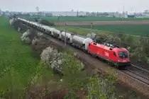 1116 186 war am 20.04.2013 mit diesem Ganzzug (GAG 49600 von Koper nach �iar nad Hronom) um 17:38 bei Himberg in Richtung Gramatneusiedl unterwegs.