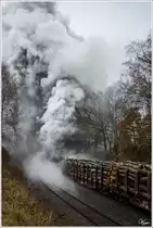 Nachschuss auf den 1400t schweren Holzzug von Bad Salzungen nach Eisenach, gezogen von den beiden Jumbos 44 2546 & 44 1486.
Marksuhl 11.04.2013