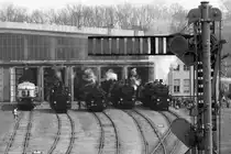 Triebfahrzeugparade am 21.April 2013 im Heizhaus Strasshof, von links nach rechts stehen der 5042.14, die 17c 372, 30.33, 109.13 und 310.23.

