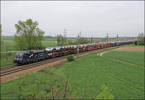 1116.126  Licht ins Dunkel  brachte am 27.04.13 einen SITFA Autozug beladen mit Fiat 500 durch Ebenfurth Ri. Wr.Neustadt.