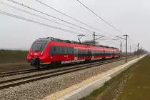 5.4.13 Zwecks Netzzulassung tummelte sich die deutsche Hamsterbacke bei uns in �sterreich. An diesem Tag fanden Standmessungen in Hohenau statt. F�r die Testfahrt war der 2442 011 eingeteilt und f�hrt als SPROB 96237 mit 43min Versp�tung von Hohenau zur�ck nach Penzing bei Tallesbrunn.
