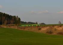 650 661 (VT 26) + 650 652 (VT 17) als RB nach Plattling am 21.04.2013 bei Rohrbach.