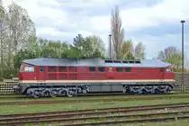 Abgestellte WFL-Lok 92 80 0231 012 8 D-WFL auf dem S�d-Bahnhof in Neustrelitz. - 29.04.2013
