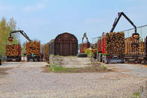 Beim beladenen Snps mit Rundh�lzern sichert der Chef-Verlader die Ladung pers�nlich. - 02.05.2013 
