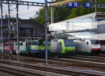 BLS:  SCHNAPPSCHUSS  aus dem fahrenden Zug. Bunte und nicht gestellte Lokparade vor der BLS-Werkst�tte in Spiez. Mit von der Partie sind: RAIL POOL 185 105, BLS 485 019 sowie die beiden f�r TRAVYS und MBC bestimmten ex SBB ex BLS Re 420.
Foto: Walter Ruetsch 