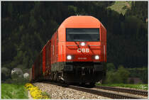 2016 096 rollt mit einem Holzleerzug durch das P�lstal.
Fohnsdorf 3.5.2013