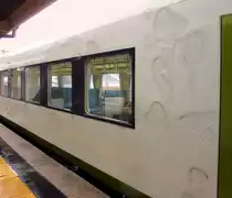 Der Triebwagen KIHA 110-125, der das Reststück der Kesennuma-Linie jetzt befährt, ist in erstaunlich heruntergekommenem Zustand. Die Ursache dafür ist der Mangel an Dieseltriebwagen, da mehrere im Tsunami vernichtet wurden, und weitere benötigt werden als Ersatz für elektrische Wagen auf Rumpfstücken der zerstörten Linie von Ishinomaki nach Sendai. Yanaizu, 15.Februar 2013.  