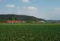 Ein 442er durchf�hrt am 05. Mai 2013, als RE 4990 nach Jena, Gundelsdorf Richtung Saalfeld.
