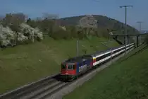Re 421 392-2 zieht am 24.04.2013 den IC 181 von Schaffhausen Richtung Z�rich, aufgenommen bei Glattfelden.