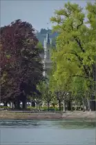 F�r Stefan... Jenseits des Weihnachtsmarktes ist Konstanz sogar gr�n und dunkelrot. Ein neuerdings �berraschender Durchblick zum Bahnhofsturm. Bisher stand hier eine pr�gnate, schiefe Kiefer im Weg, die sich allerdings im Laufe des Winters ganz in die Horizontale begeben hat. Mai 2013.