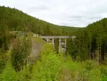 Das Ziemestal Viadukt auf der Stillgelegten Strecke Triptis-Marxgr�n am 09.05.13