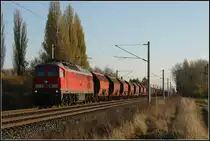Anderer Tag, neues Gl�ck:
Widerum donnert 233 112 mit einem Ganzzug 
durchn Abzweig Seehof gen Magdeburg.
13.11.2012