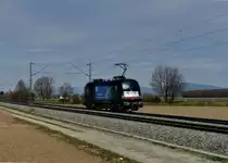 182 567 bei einer Lz-Fahrt am 14.04.2013 bei Langenisarhofen.