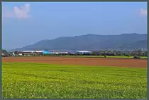 Inmitten blühender Rapsfelder zieht eine 155 den gemischten Güterzug 54856 aus Engelsdorf vor der eindrucksvollen Kulisse des Kyffhäusergebirges Richtung Nordhausen. Links das Kyffhäuserdenkmal, rechts der Fernsehturm und in der Mitte die Rothenburg. (bei Berga-Kelbra, 05.05.2013)