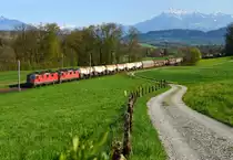 Re 8/8 bei Sins im Hintergrund die Rigi  24.04.13