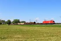 1016 040 mit dem 45809 von M�nchen nach Villach. Aufgenomman am 18. Mai bei �bersee.