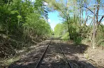 Die w�rttembergische Schwarzwaldbahn am 18. Mai 2013 zwischen Ostelsheim und Althengstett.

