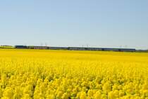 19.5.2013 12:39 ČD 362/363 mit einem Schnellzug aus Cheb nach Praha hl.n. in der N�he der Talsperre Jesenice zwischen der Haltestelle Stebnice und dem Bahnhof Lipov� u Chebu.