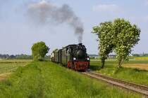 Die Lok 20 der Selfkantbahn am 19.05.2013 hinter Gelindchen.