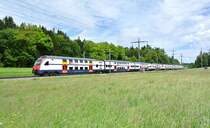 Cupfinal FC Basel-GC im Stade de Suisse Bern, GC Extrazug Nr. 5: Doppeltraktion DTZ, 058+043, bei Lyssach, 20.05.2013.
 
