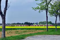 BR 644 zwischen Euskirchen und Satzvey - 02.05.2013