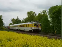 218 399 war am 23.05.13 mit dem Messzug von Zwickau/Sachs. nach Mehltheuer und Plauen/V oberer Bahnhof unterwegs. Hier zusehen in Syrau/V.