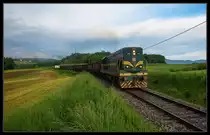Der letzte Zug mit der Reihe 661 in Slowenien. Die 661-032 wurde am nachsten Tag ein Teil der Sammlung des Eisenbahnmuseums in Ljubljana. Fotografiert am 17.5.2013 bei Hudo auf der Strecke Novo Mesto-Ljubljana.