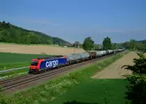 Re 482 035 mit einem Kesselzug am 09.05.2013 bei Ein�d.