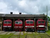 Am 25.05.13 fand in Weimar beim TEV das DR E-Lok Treffen statt. Zusehen 250 250-8, 230 014-3, 243 005-6 und 251 012-1.