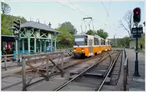 Am n�rdlichen Ende der 12km langen Kindereisenbahn in H�v�sv�lgy hat man wieder Anschluss an die Strassenbahnlinie 61 zur�ck in die Stadt. T5C5 CKD Tatra Tram Budapest. (11.05.2013)
