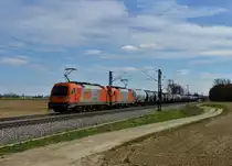1216 902 + 1216 901 mit einem Kesselzug am 14.03.2013 bei Langenisarhofen.