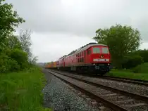232 569 und 233 511 fuhren am 27.05.13 den Umleiter durch das Vogtland, hier in K�rbitz/V.